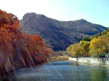 正版澳门天天开彩大全，恐怖杀人医院